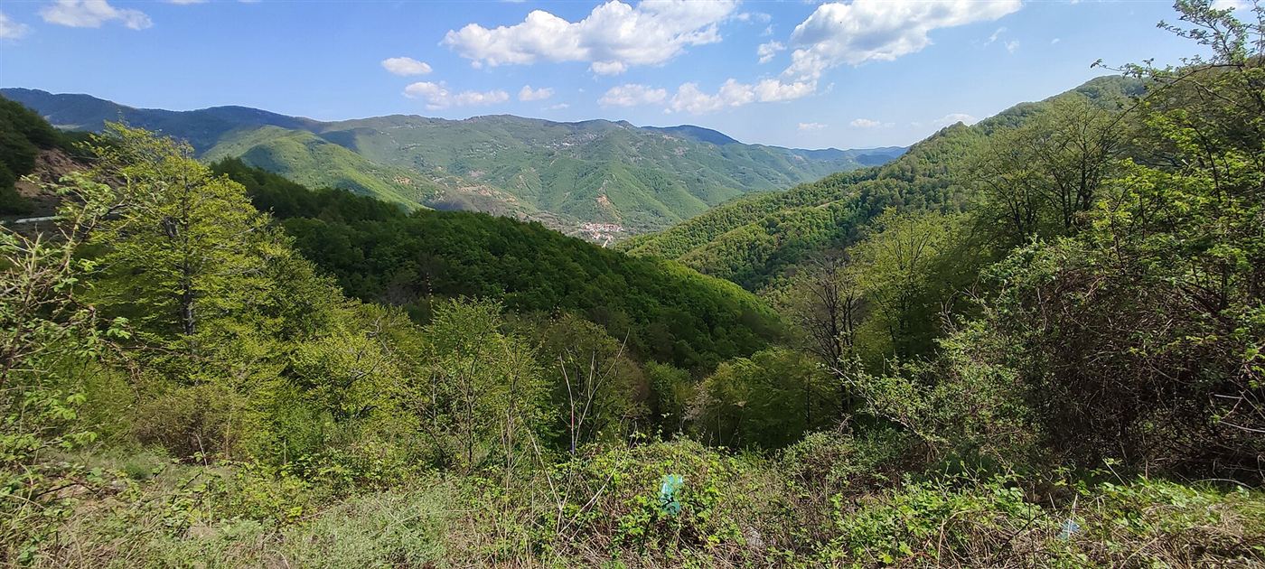 Green Rhodope ridges and valleys under scattered cloud